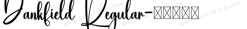 Dankfield Regular字体转换